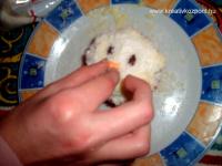Húsvéti pályázat - Nyuszis muffin