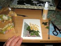 Nyári pályázat - 3 D-s képeslap sárgadinnye magvakból - Hozzávalók