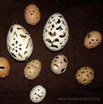 Húsvéti pályázat - Csipkézett tojások - Kész