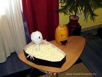 Halloween pályázat - Koporsó popcorn tál