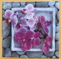 Szalvéta - Orchidea