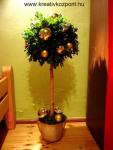 Karácsonyi pályázat - Buxus fácska