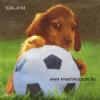 Szalvéta - Kutya focival