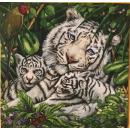 Szalvéta - Fehér tigris család