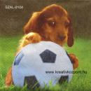 Szalvéta - Kutya focival